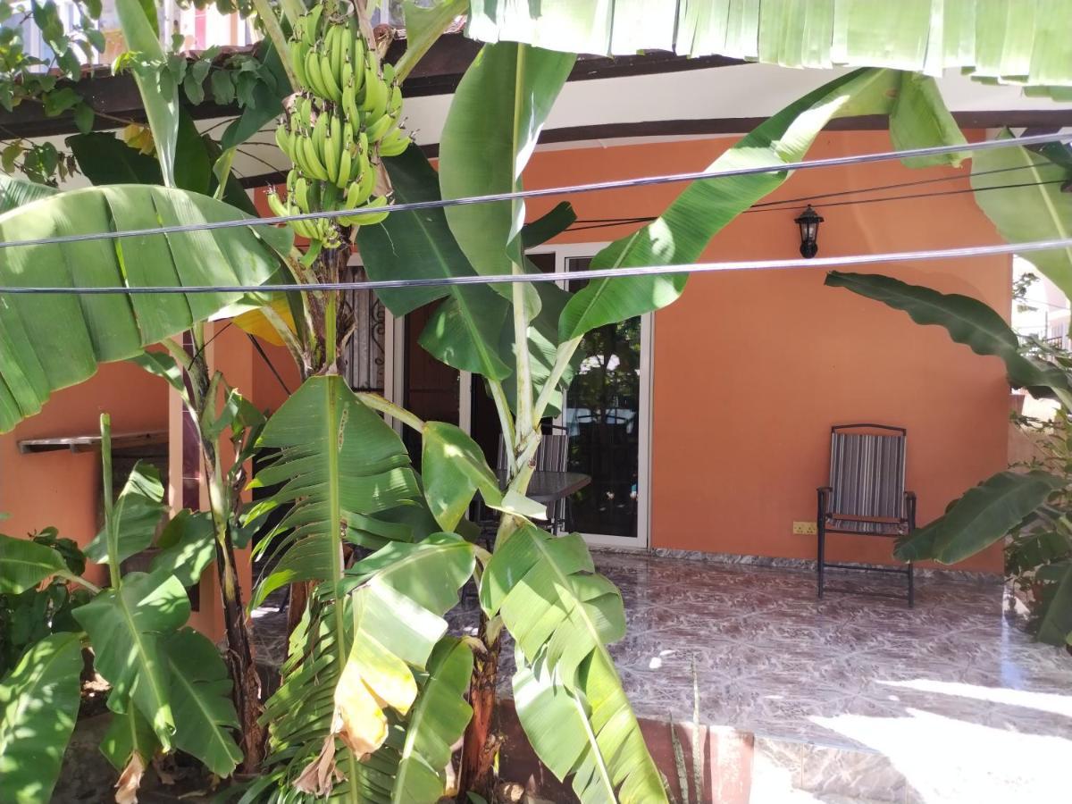 Villa Harmonie ทรู โอซ์ บิชส์ ภายนอก รูปภาพ